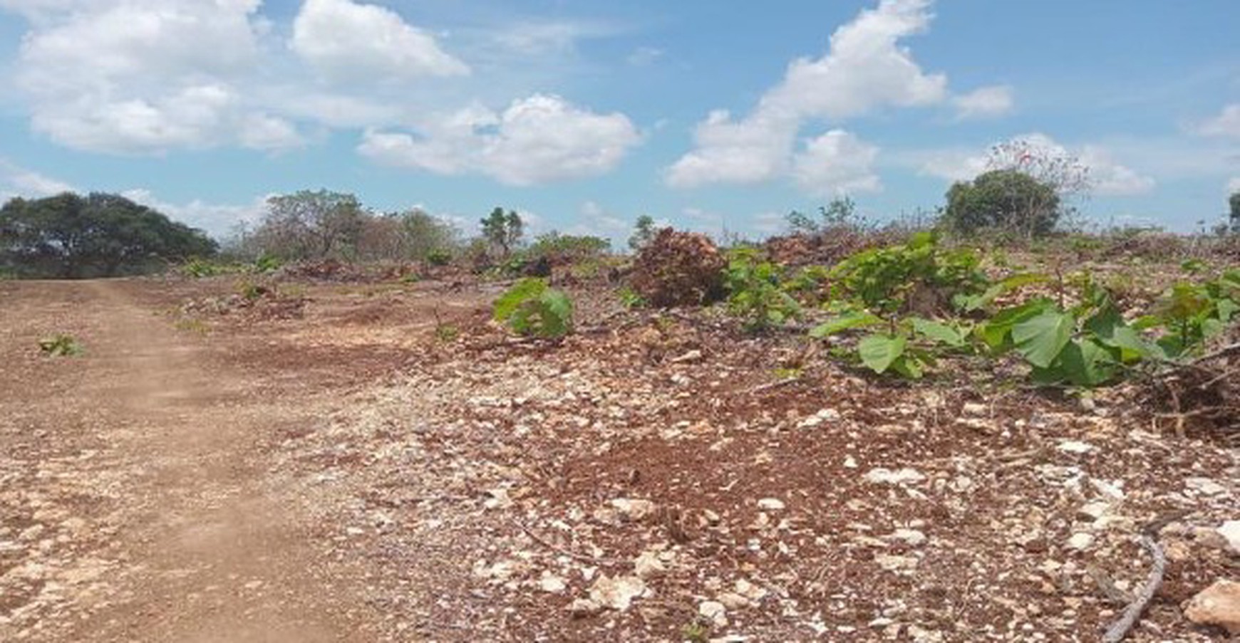 Land For Sale 6 Hectare in Jimbaran Kuta Bali