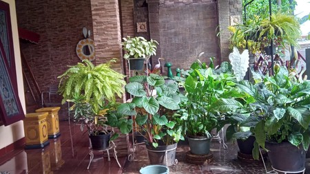 Rumah Bagus Di Camar Bintaro Jaya Sektor 3