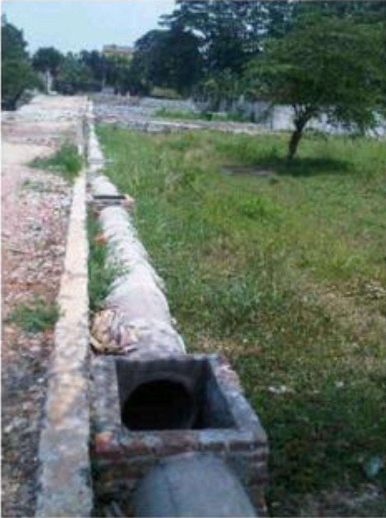 Jagakarsa tanah 1,4 hektar kahfi1 jalan utama harga dibawah njop