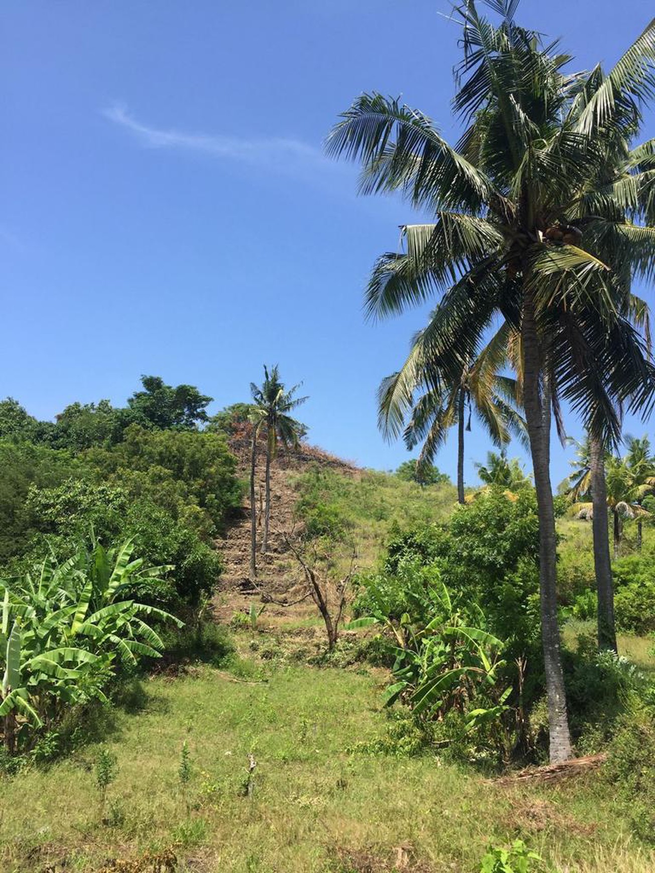 Tanah Luas Nusa Penida Bali 