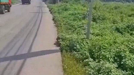 Tanah Luas 11Ha di Korelet, Curug Tigaraksa Tangerang