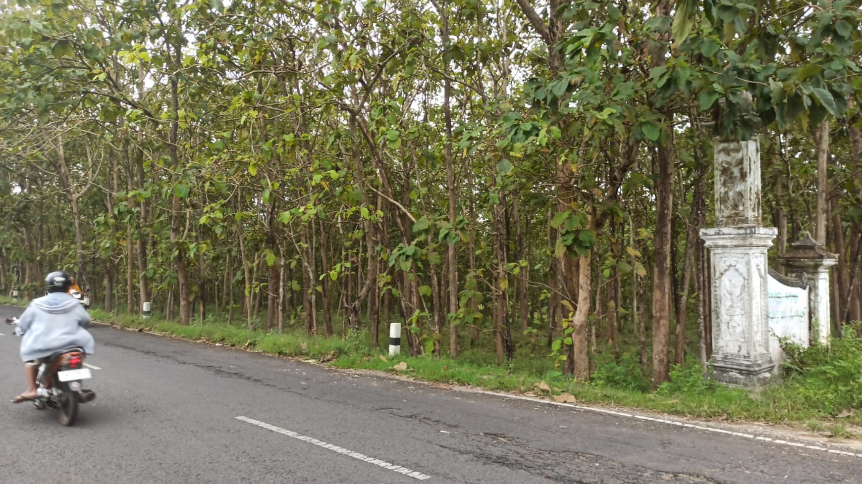 Tanah 1899 Meter Persegi Lokasi Dekat Pantai Baron Wonosari Gunung Kidul