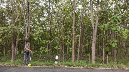 Tanah 1899 Meter Persegi Lokasi  Dekat Pantai Baron Wonosari Gunung Kidul