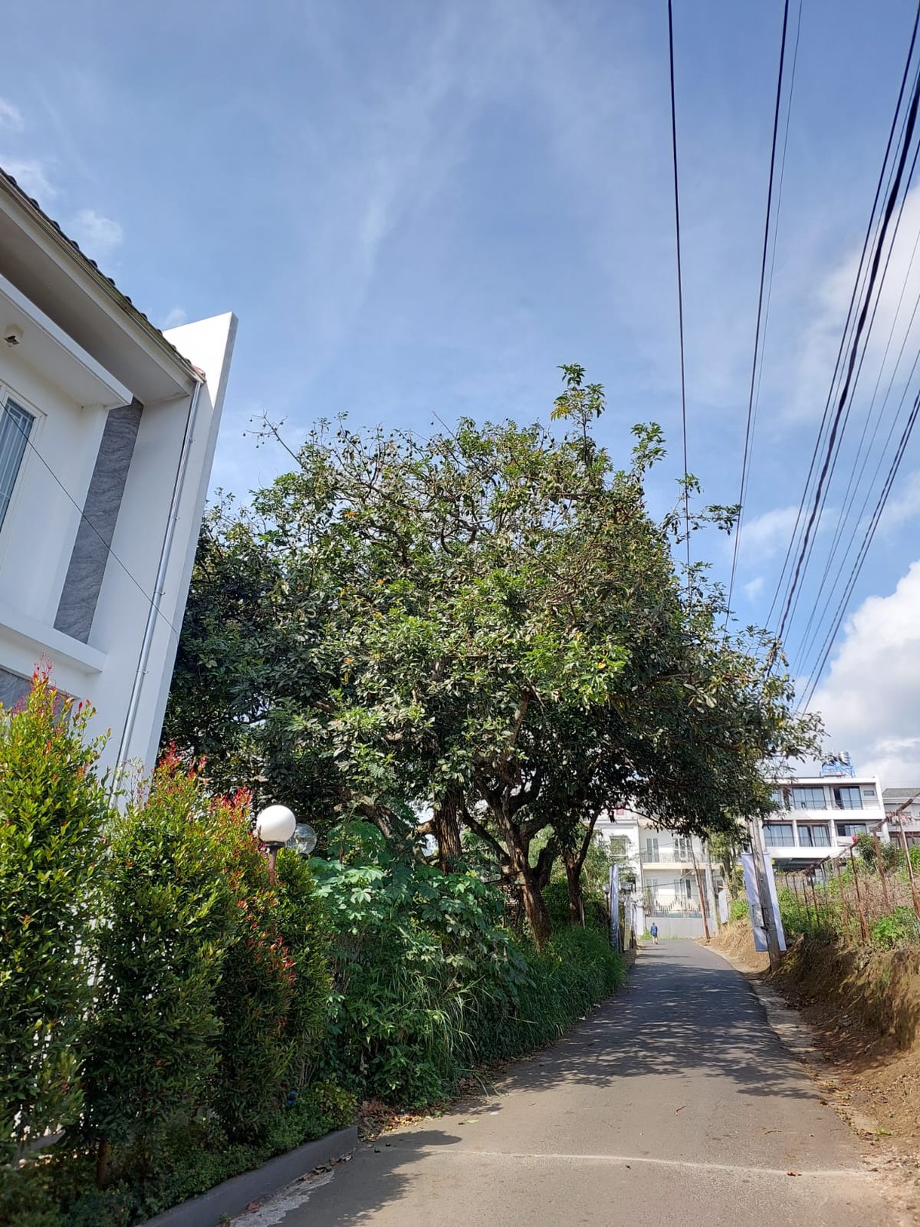 Dijual Cepat Tanah Strategis 805m&#xb2; di Kota Batu Malang | View Menawan