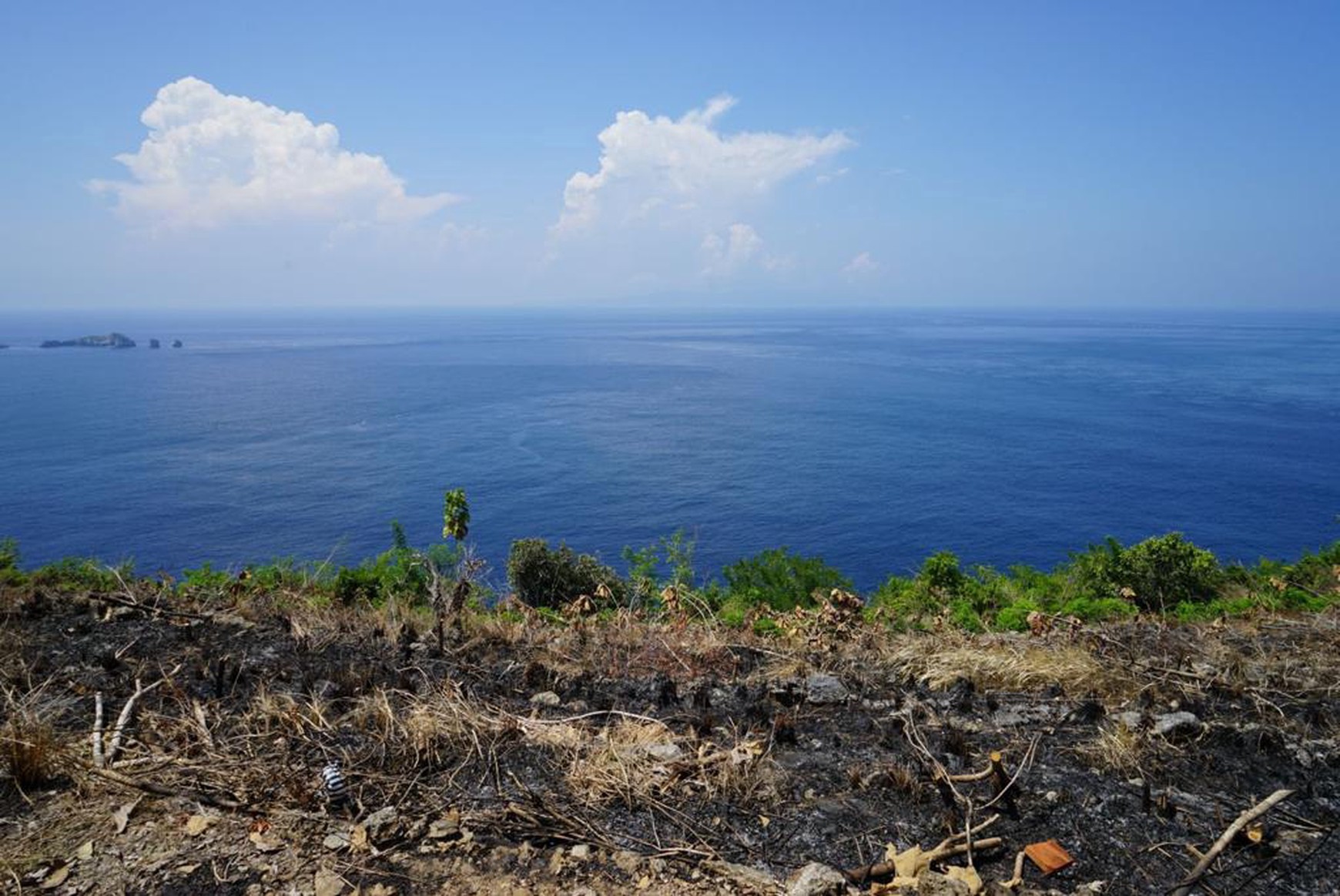 Private Beachfront Land in Nusa Penida for Sale