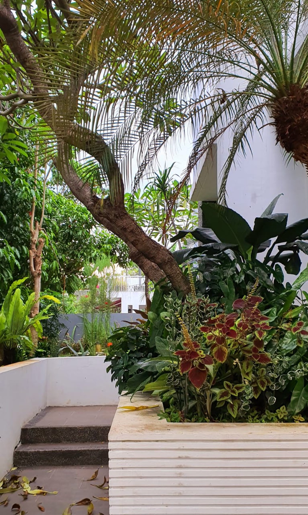 Rumah Bagus Di Cluster Kebayoran Height Bintaro Sektor 7