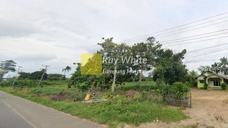dijual tanah terbanggi besar lampung tengah