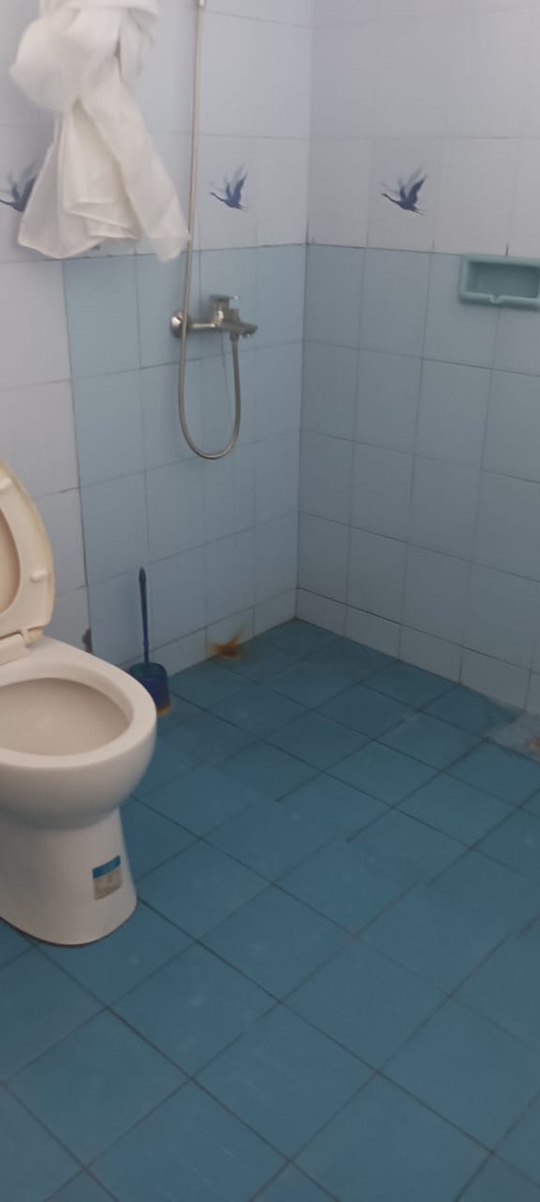 Rumah Bagus Di Jl Dahlia Lestari Lebak Lestari Indah Lebak Bulus