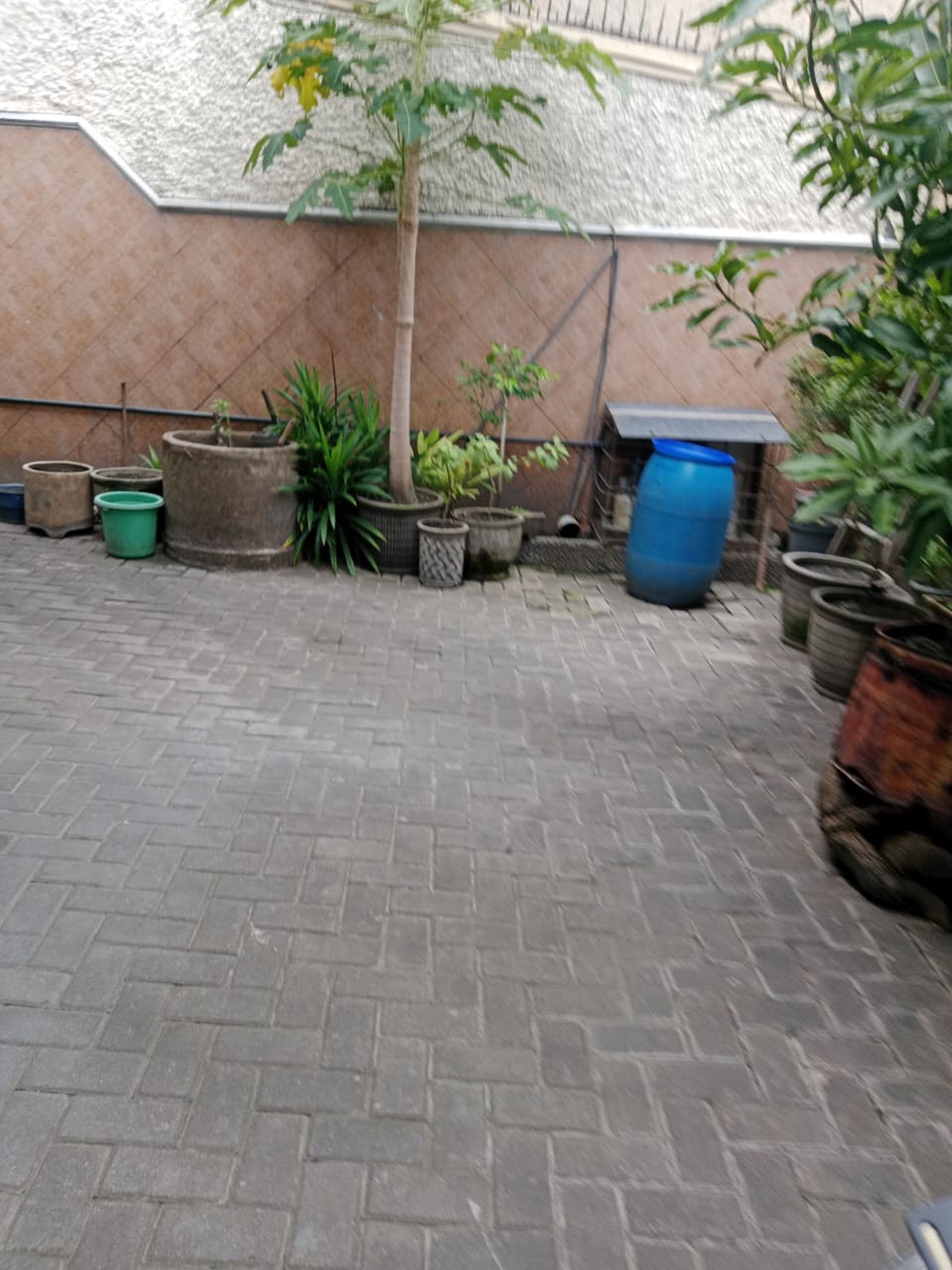 Dijual Rumah di Surabaya Pusat