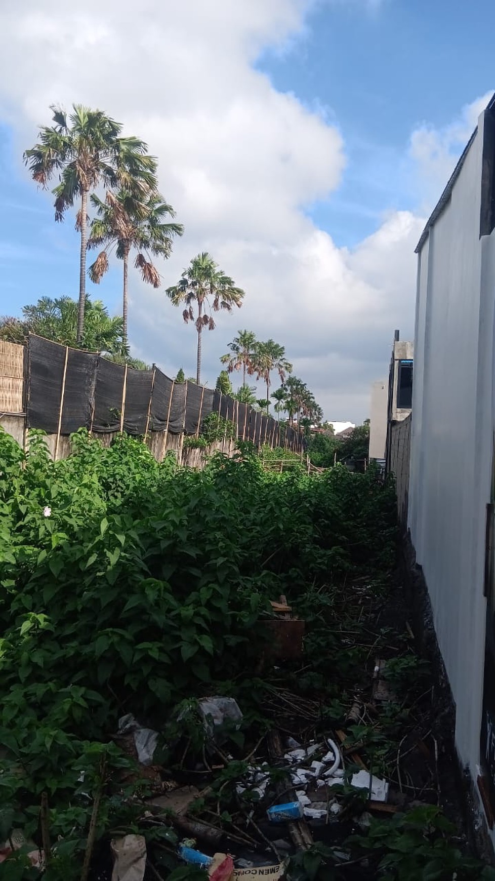 Land Prime Opportunity Freehold In Berawa Canggu