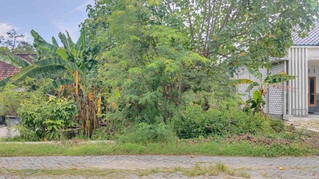 Dijual Tanah di Lamongan