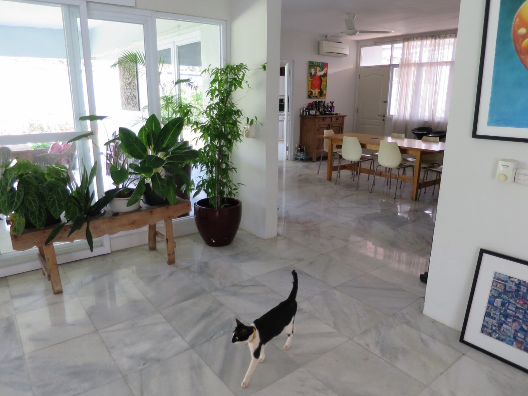 Dijual rumah asri di Jl Duren Bangka - Kemang - Jakarta Selatan
