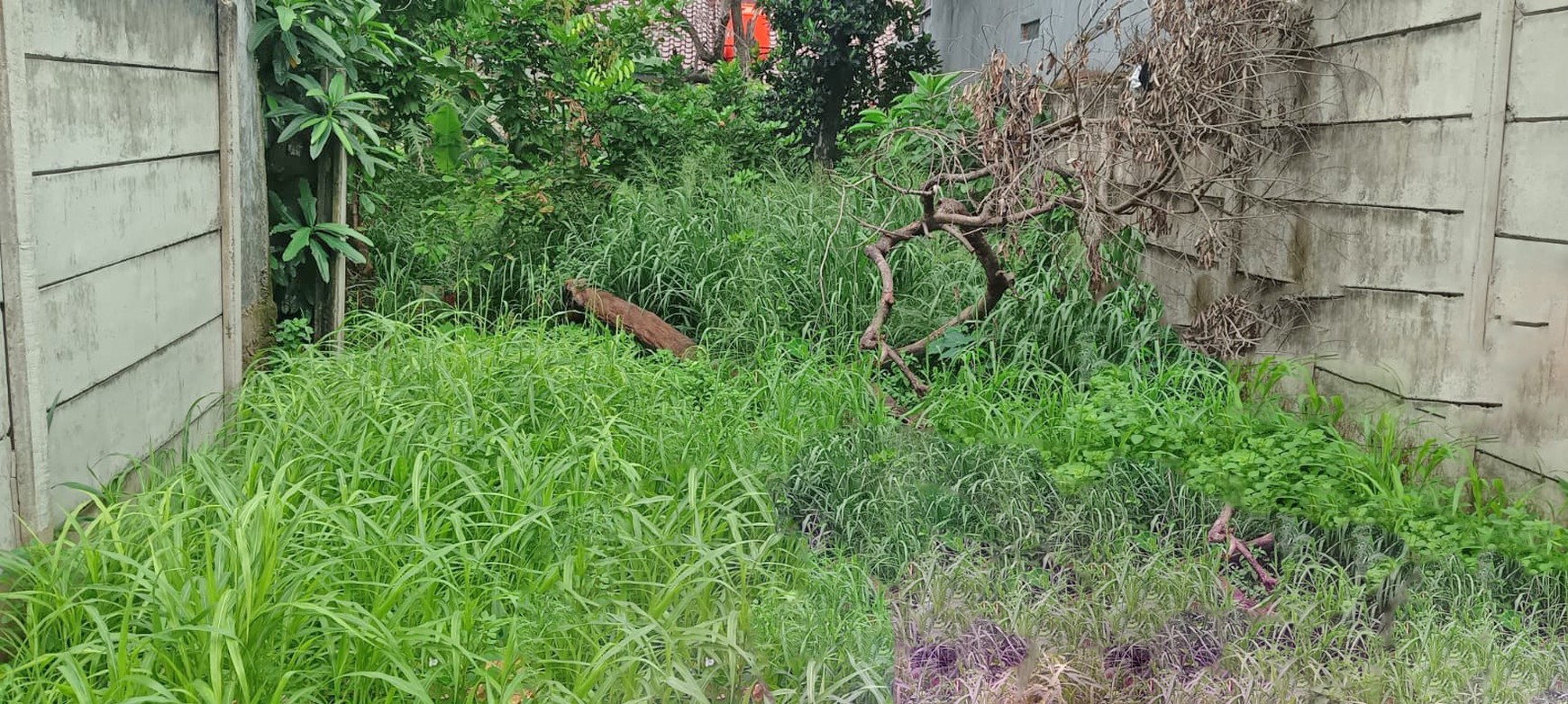 Kavling Luas di Jl Raya Ciangsana selangkah ke Kota Wisata Gn Putri