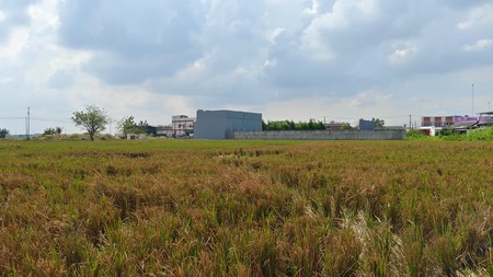 Kavling Kp. Bulak Bunut, Karang Sambung, Cikarang Utara