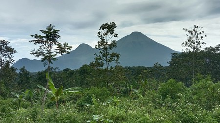 Investasi Tanah Trawas, Lingkungan Hijau, Akses Mudah