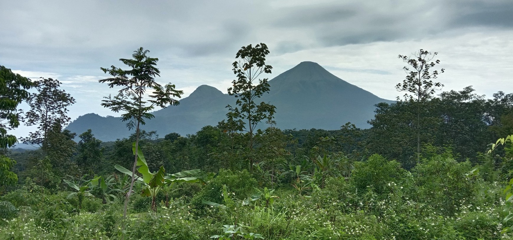 Harga Menarik! Tanah di Trawas, Suasana Tenang & Alam yang Indah