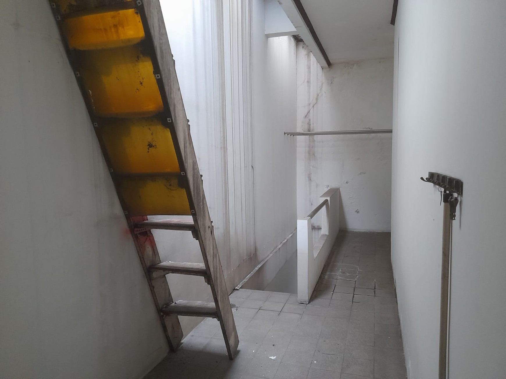 Rumah Kelapa Cengkir Timur, Kelapa Gading