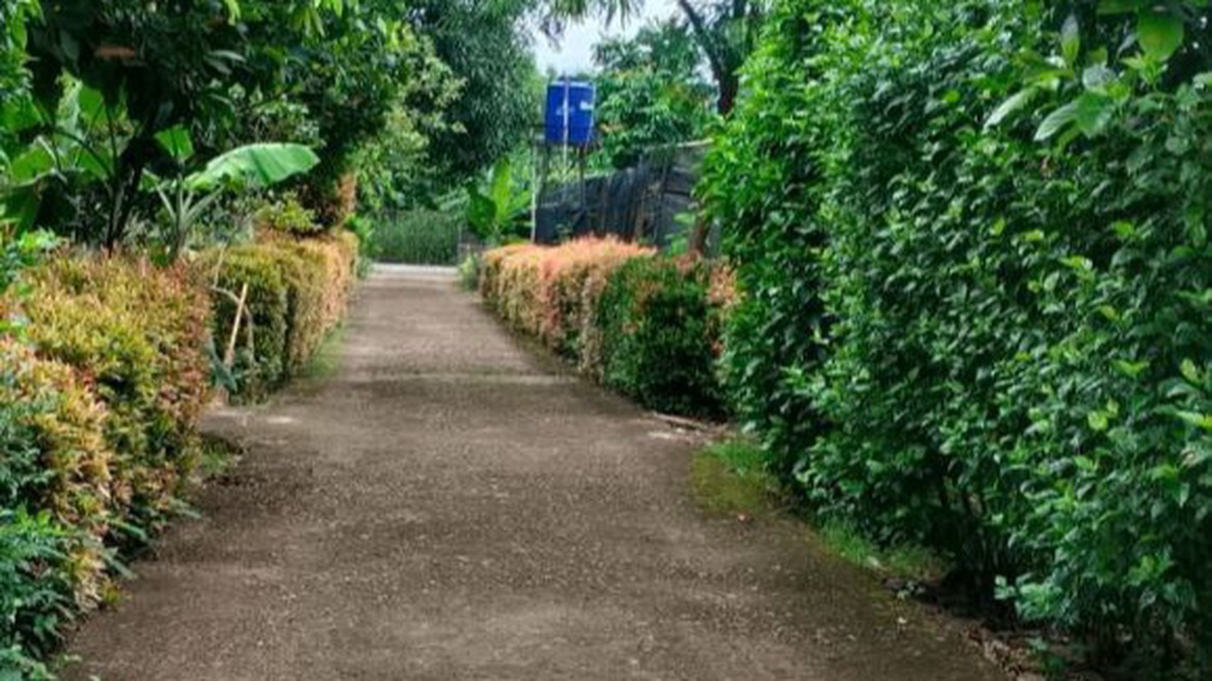 Tanah Kahfi Pinggir Jalan Utama 