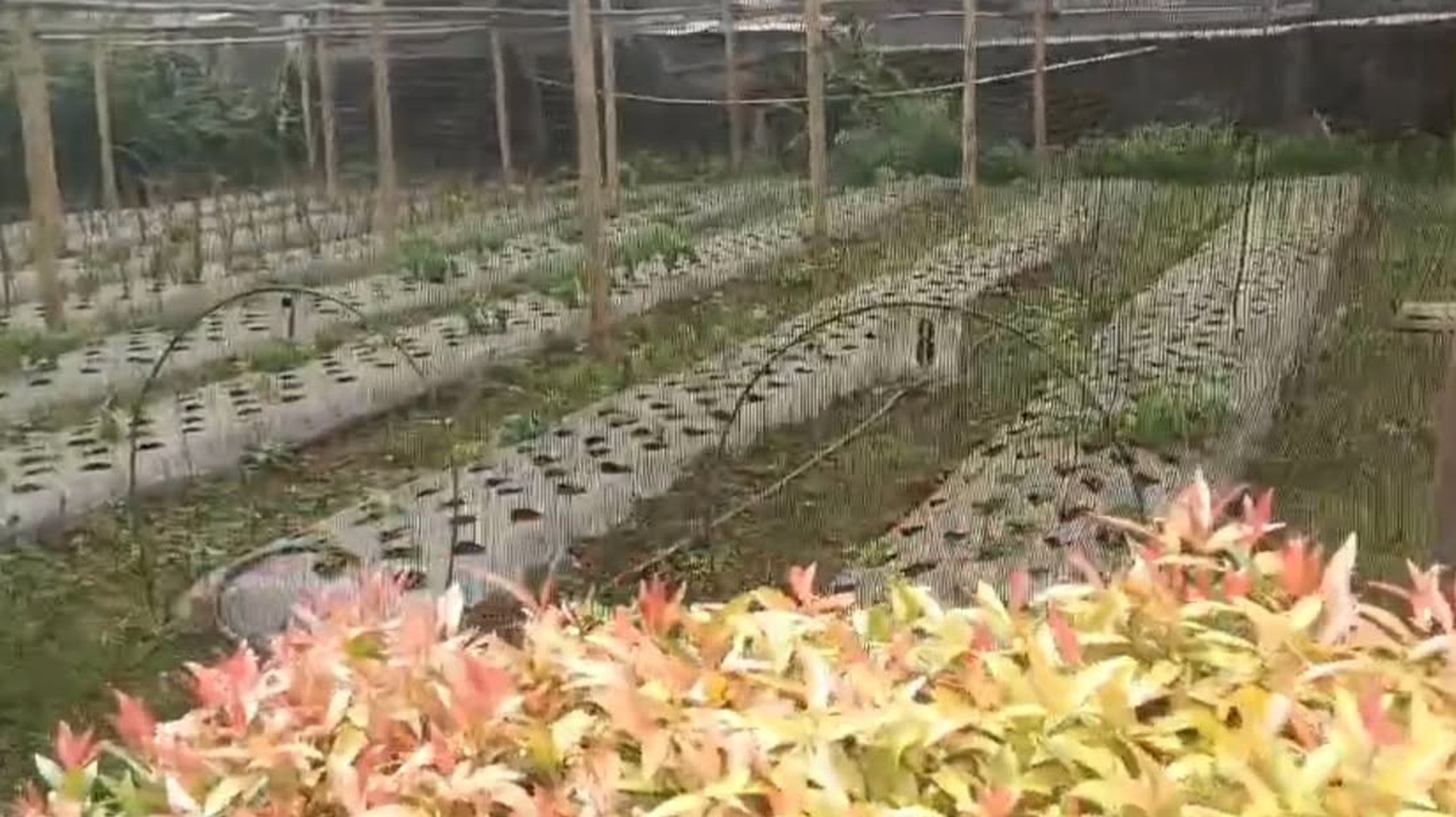 Tanah Kahfi Pinggir Jalan Utama 