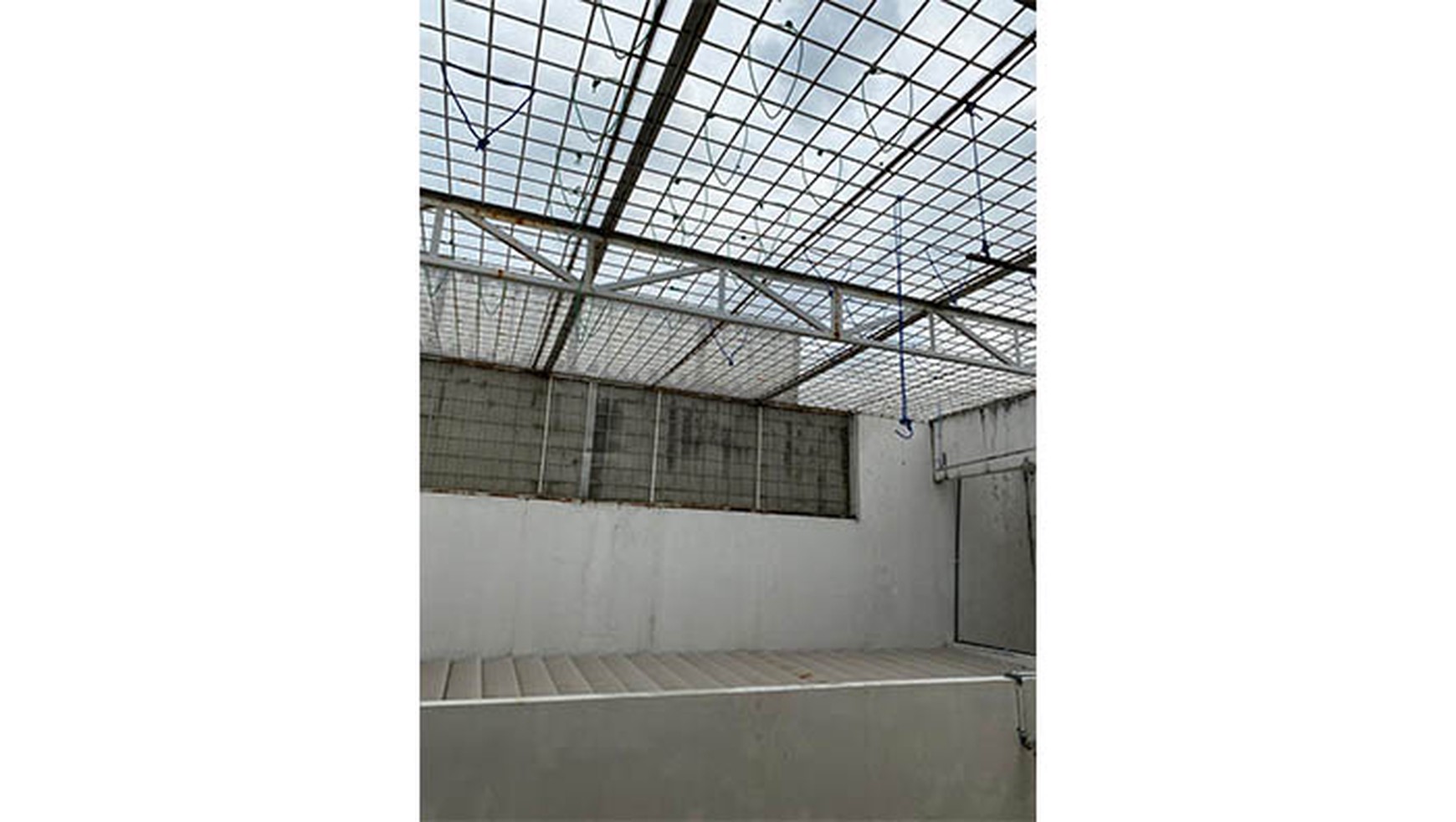 Rumah Sunter Permai Jaya, Sunter