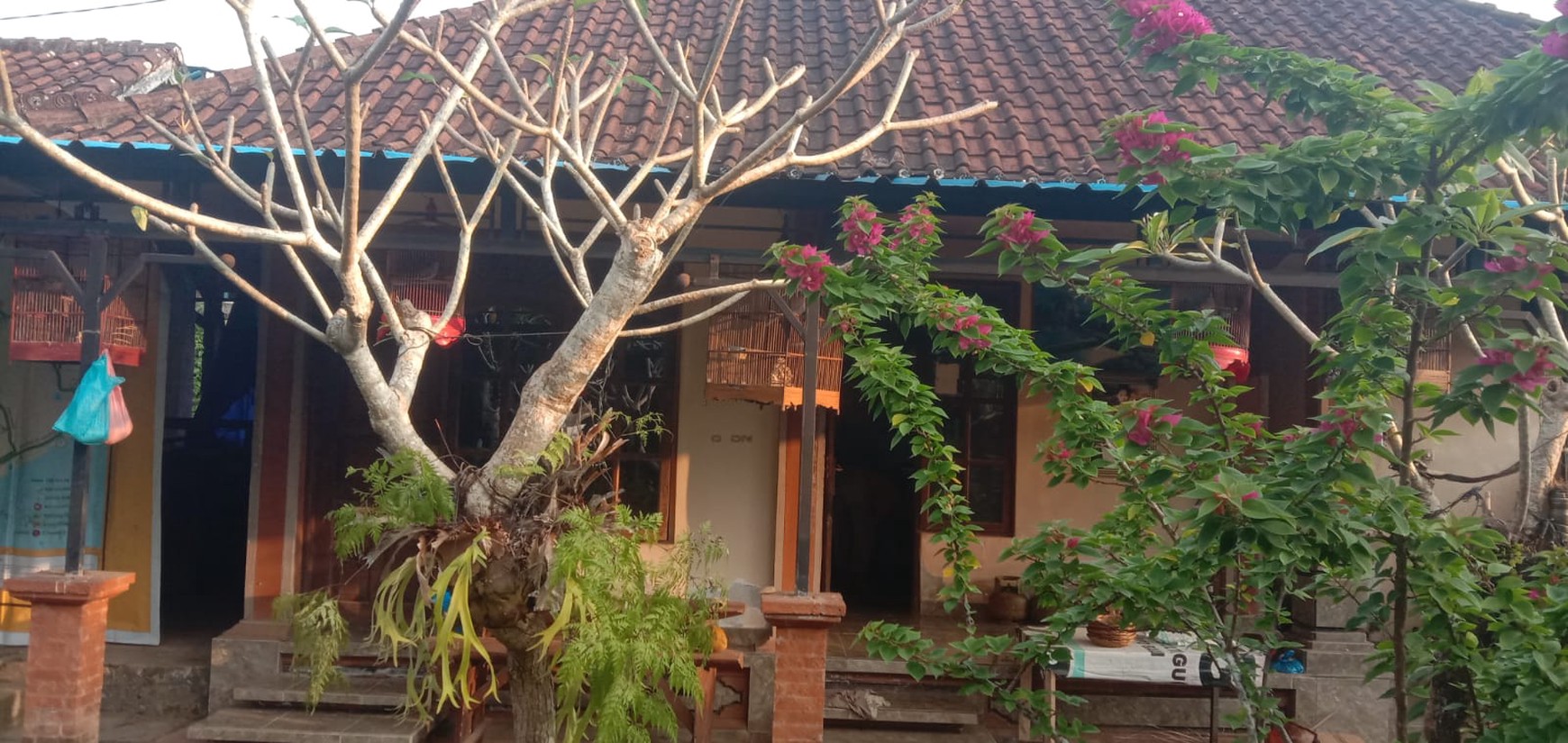 Dijual Rumah di Tabanan Bali