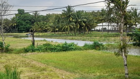 Tanah Luas 2928 Meter Persegi Lokasi Strategis di Jalan Turi Sleman 