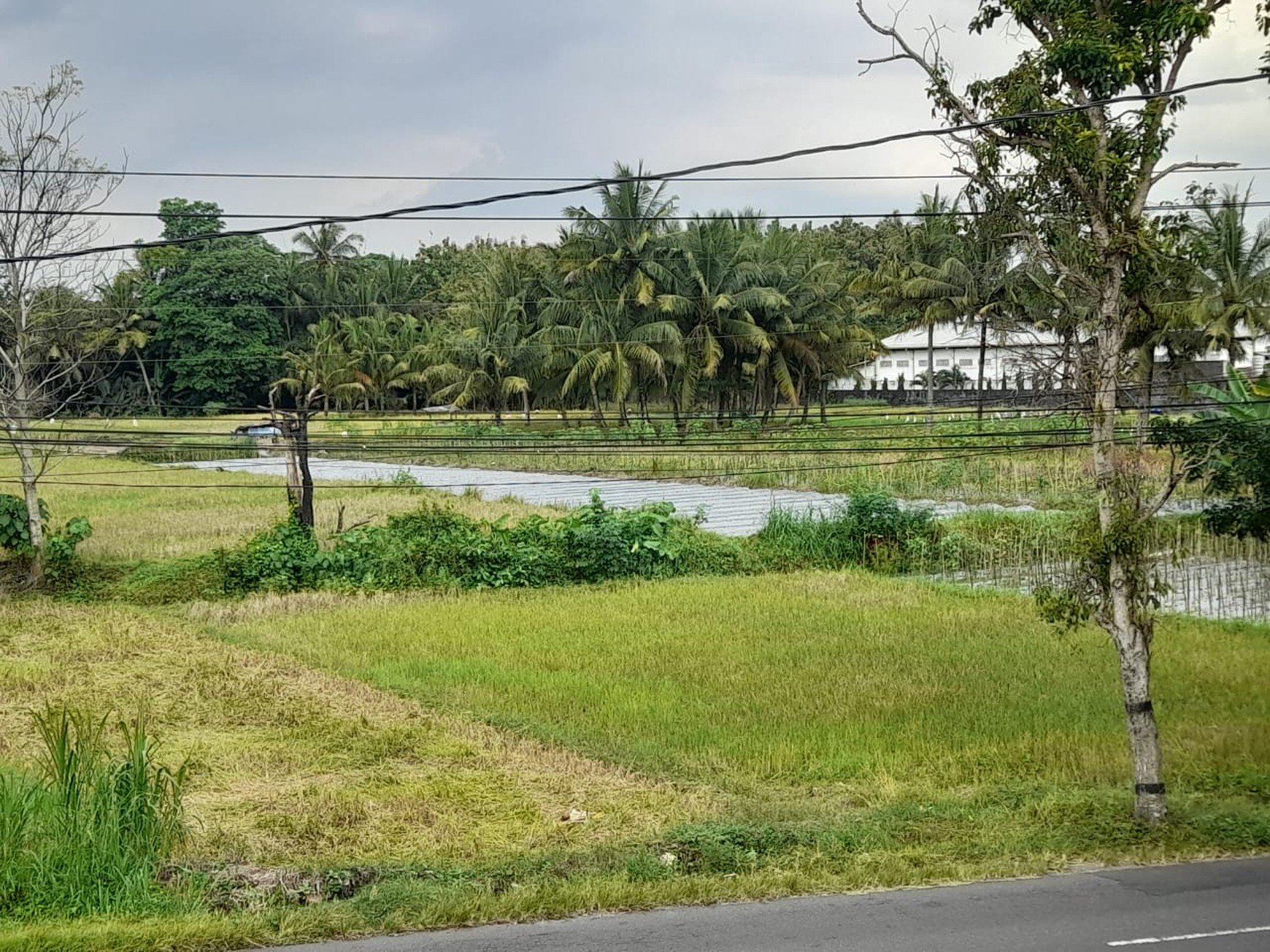 Tanah Luas 2928 Meter Persegi Lokasi Strategis di Jalan Turi Sleman 