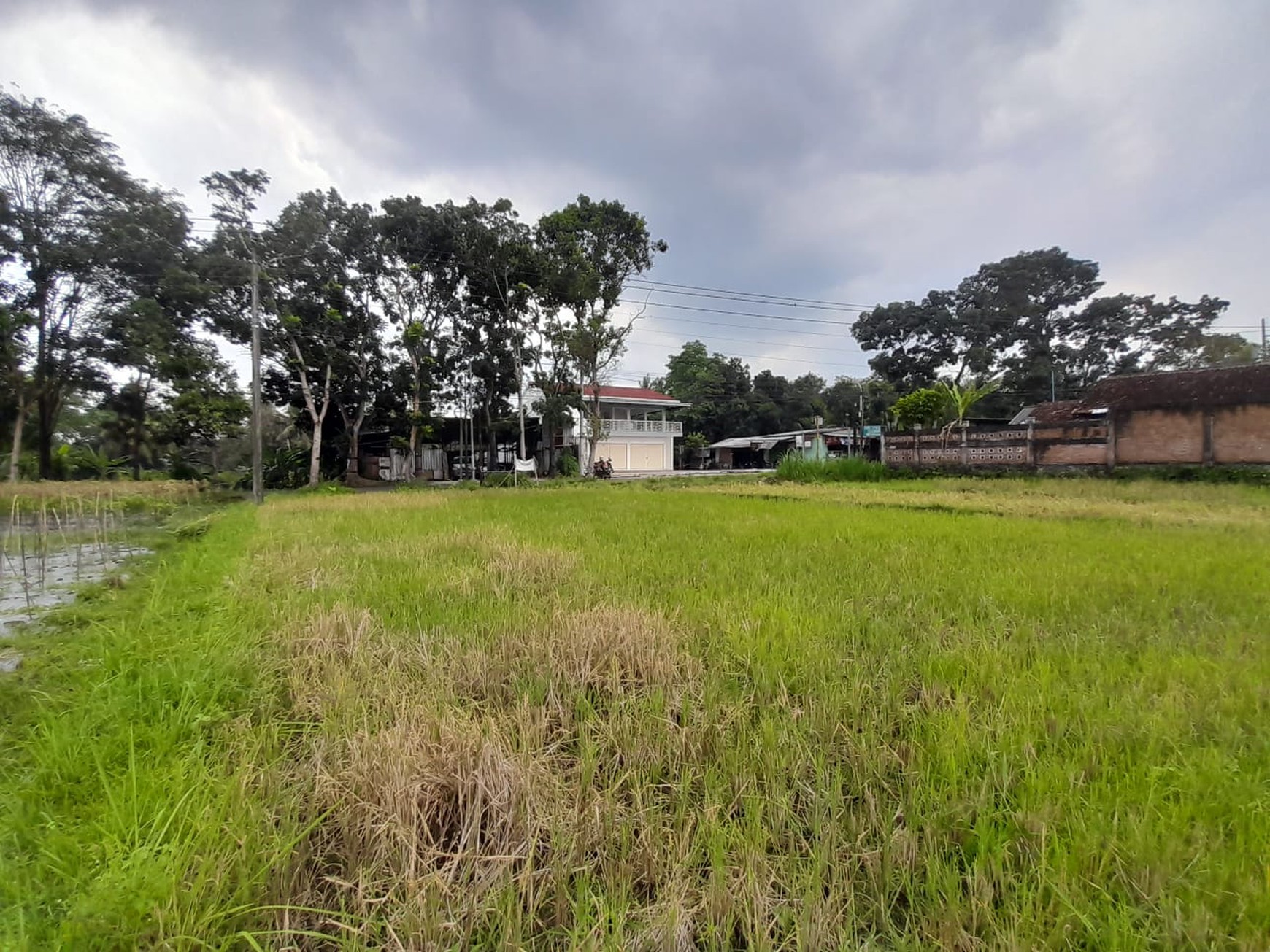 Tanah Luas 2928 Meter Persegi Lokasi Strategis di Jalan Turi Sleman 