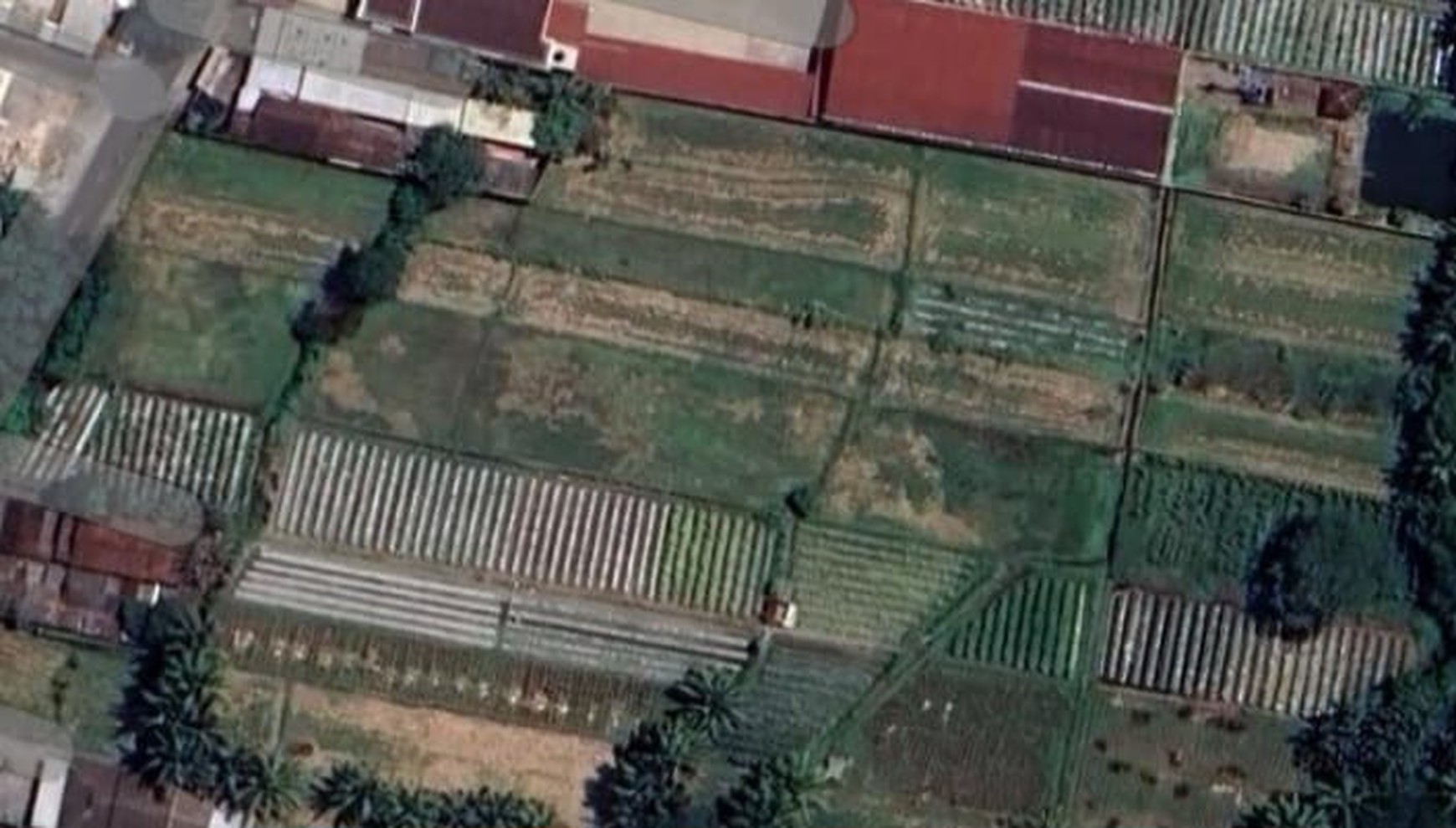 Tanah Luas 2928 Meter Persegi Lokasi Strategis di Jalan Turi Sleman 