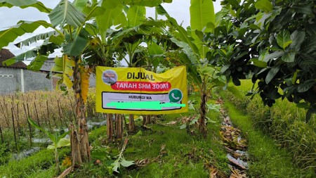 Tanah Sawah  Luas 299 Meter persegi, Lokasi Strategis dekat Jalan Srandakan, Pandak, Bantul