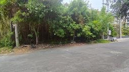 Tanah Murah dengan Lokasi Strategis di Perum Dharmahusada, Mulyorejo, Surabaya