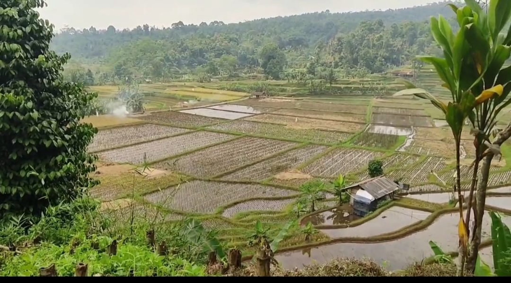 TANAH DI WANAYASA PURWAKARTA COCOK DAN BAGUS UNTUK PERUMAHAN,VILLA/RESORT DAN AREA GLAMPING DAN DIKELILINGI SUASANA ALAM YANG SEJUK
