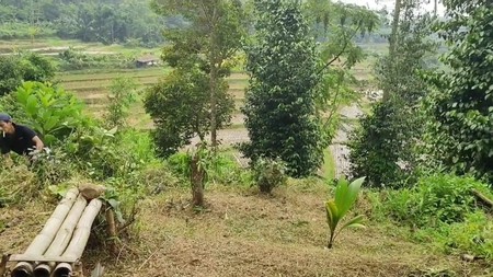 TANAH DI WANAYASA PURWAKARTA COCOK DAN BAGUS UNTUK PERUMAHAN,VILLA/RESORT DAN AREA GLAMPING DAN DIKELILINGI SUASANA ALAM YANG SEJUK