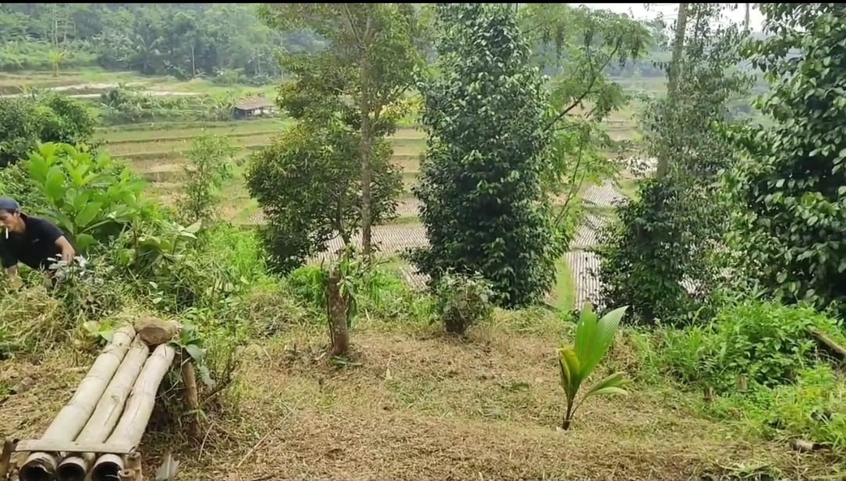 TANAH DI WANAYASA PURWAKARTA COCOK DAN BAGUS UNTUK PERUMAHAN,VILLA/RESORT DAN AREA GLAMPING DAN DIKELILINGI SUASANA ALAM YANG SEJUK