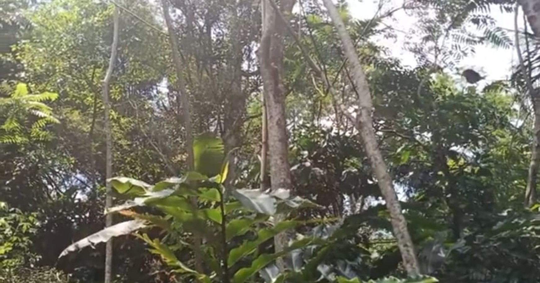 TANAH DI WANAYASA PURWAKARTA COCOK DAN BAGUS UNTUK PERUMAHAN,VILLA/RESORT DAN AREA GLAMPING DAN DIKELILINGI SUASANA ALAM YANG SEJUK