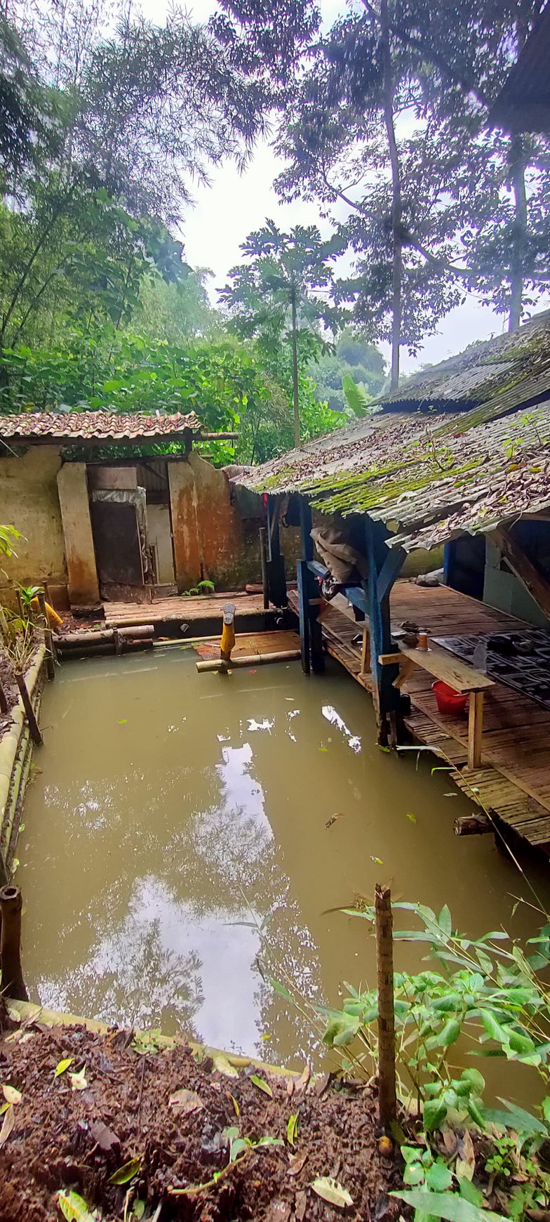 TANAH DI WANAYASA PURWAKARTA COCOK DAN BAGUS UNTUK PERUMAHAN,VILLA/RESORT DAN AREA GLAMPING DAN DIKELILINGI SUASANA ALAM YANG SEJUK