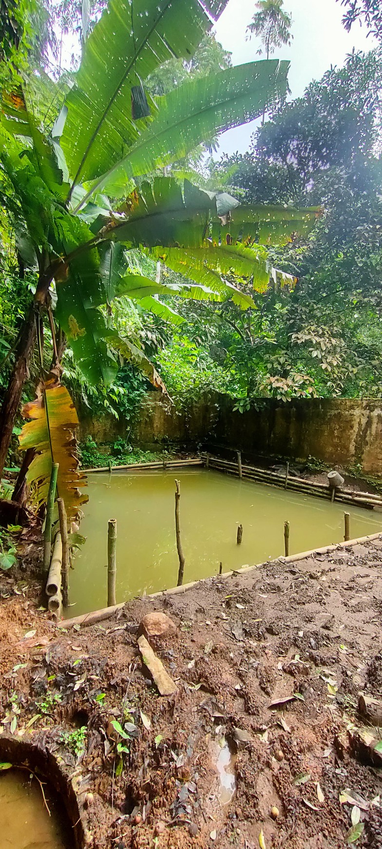 TANAH DI WANAYASA PURWAKARTA COCOK DAN BAGUS UNTUK PERUMAHAN,VILLA/RESORT DAN AREA GLAMPING DAN DIKELILINGI SUASANA ALAM YANG SEJUK