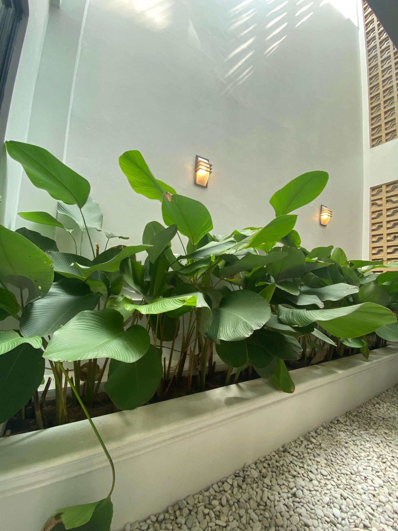 Rumah Mewah Minimalisn Brand New Siap Huni di  Bintaro Sektor 9