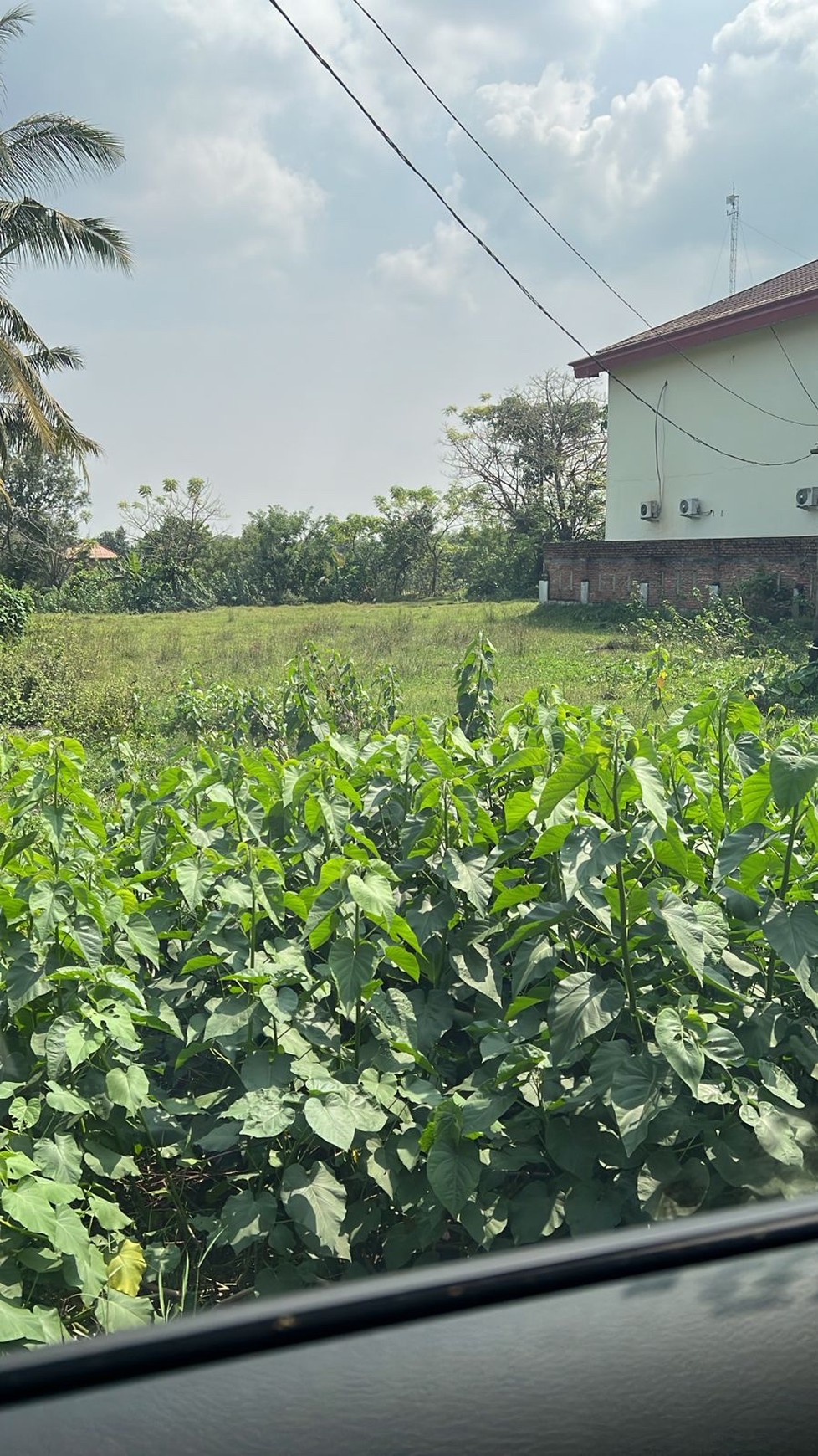 Tanah Cilangkara Cikarang