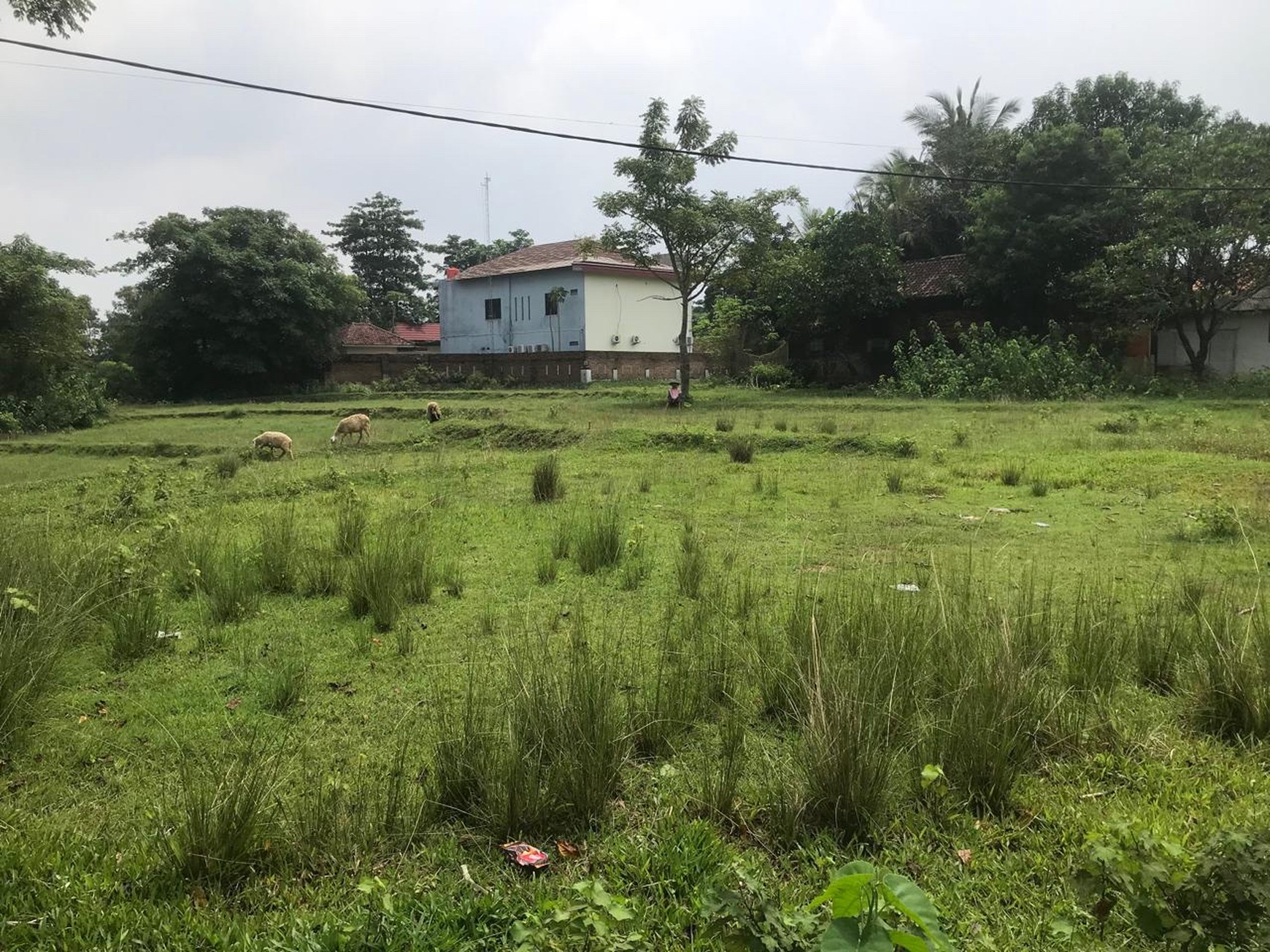 Tanah Cilangkara Cikarang