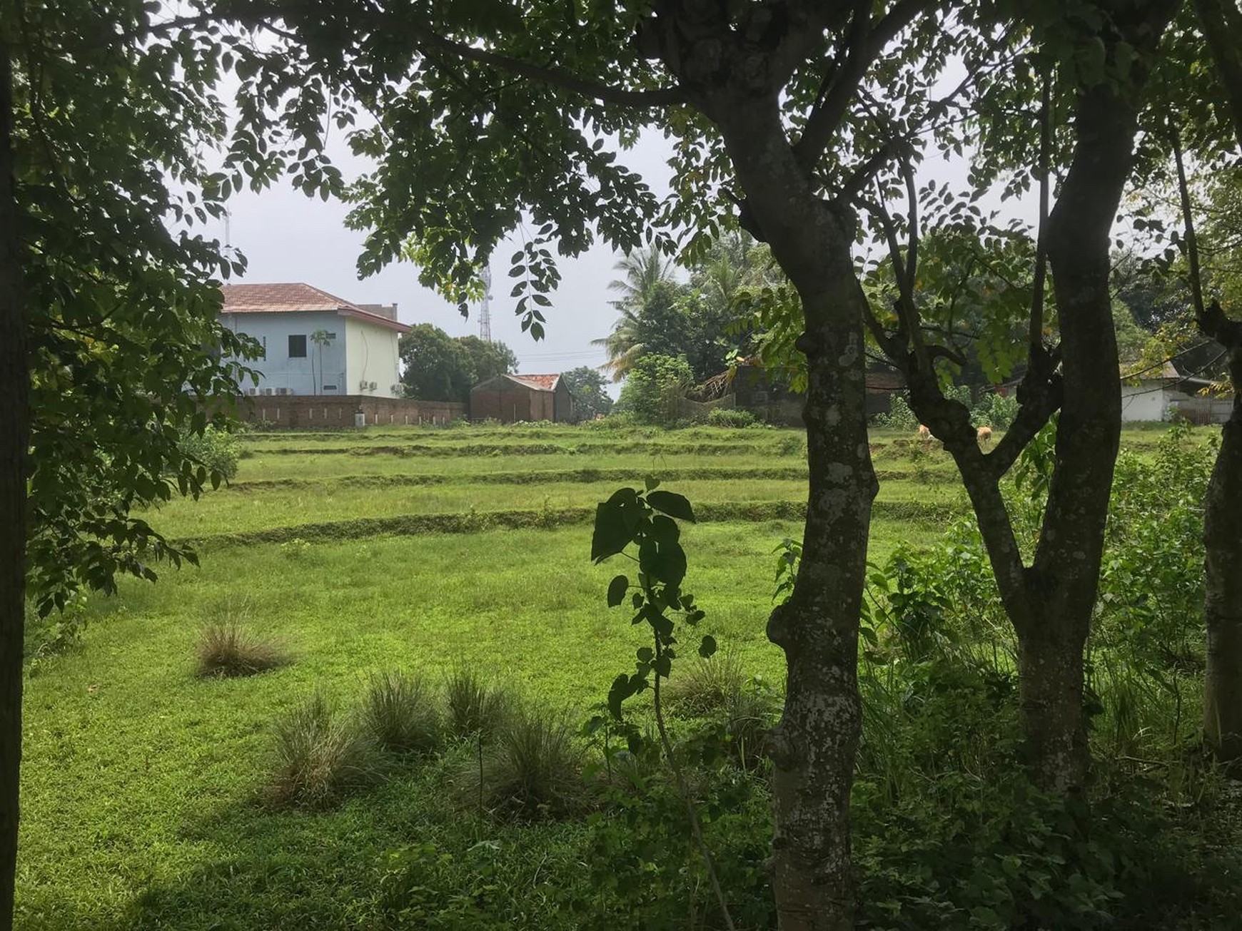 Tanah Cilangkara Cikarang