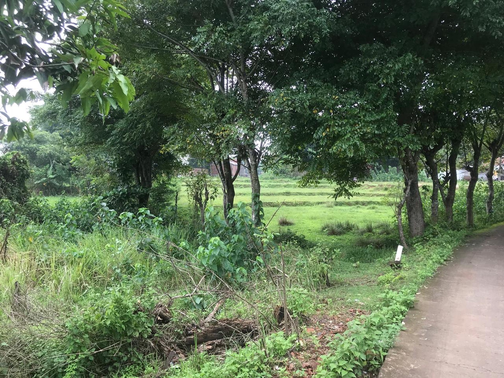 Tanah Cilangkara Cikarang