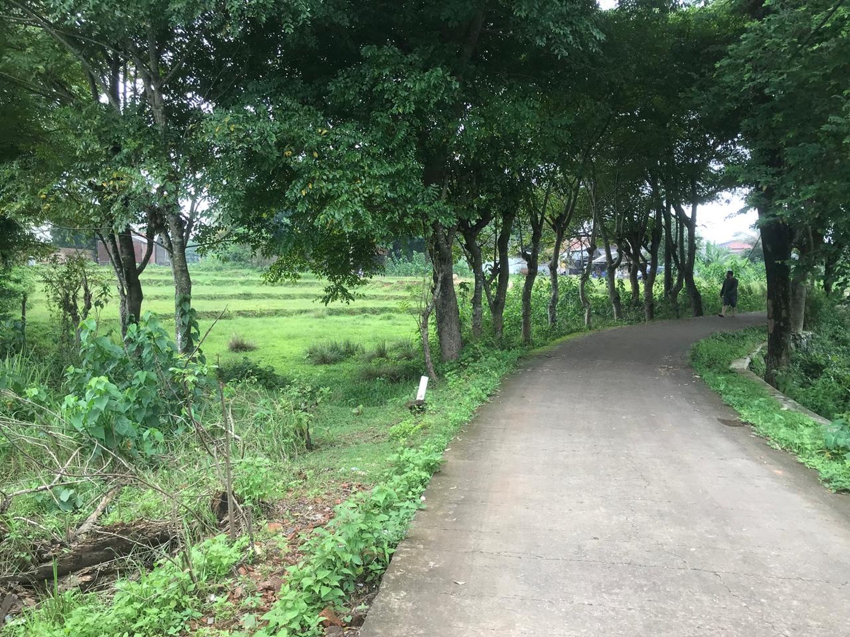 Tanah Cilangkara Cikarang
