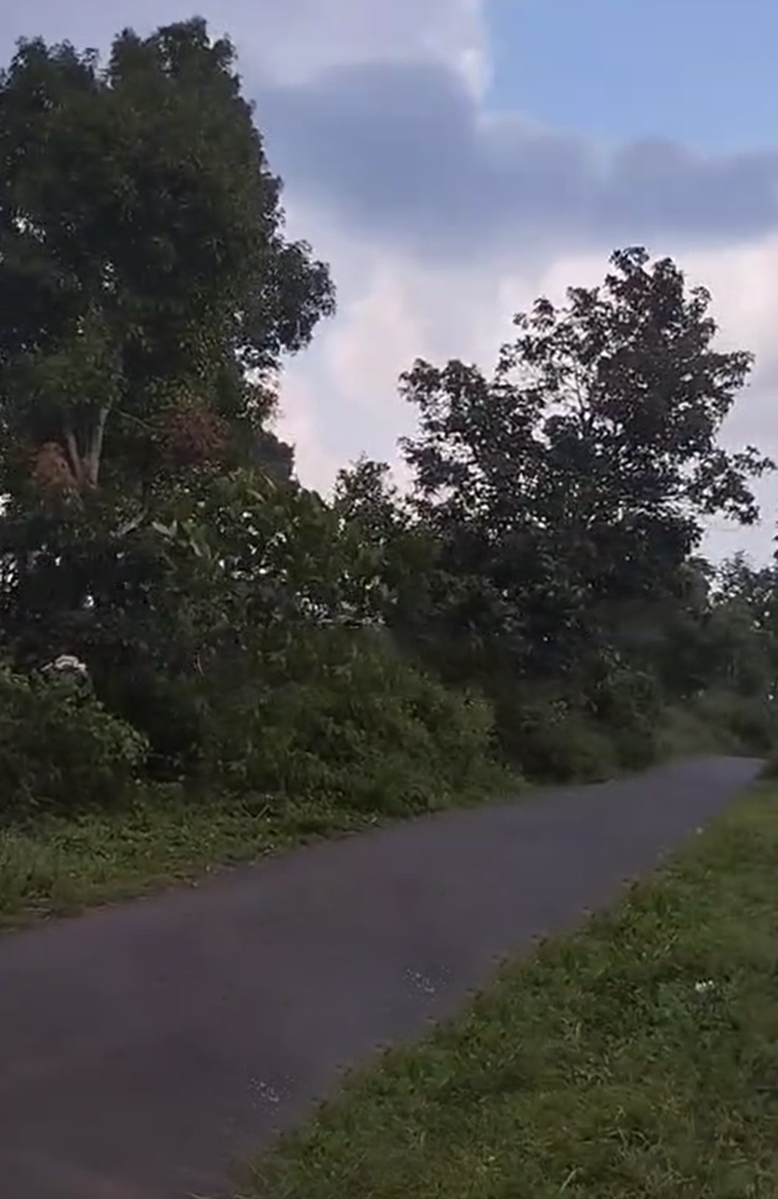 Tanah Luas 6Ha di Kabupaten Kendal Jawa Tengah