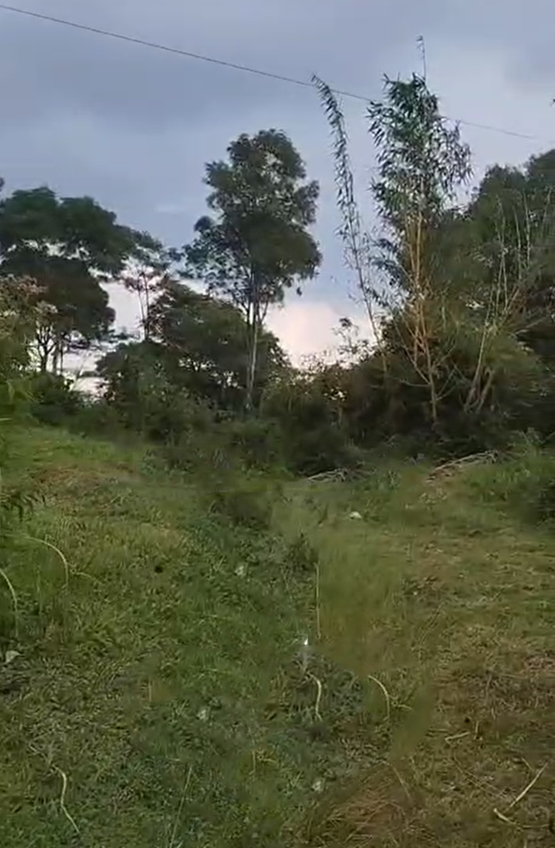 Tanah Luas 6Ha di Kabupaten Kendal Jawa Tengah