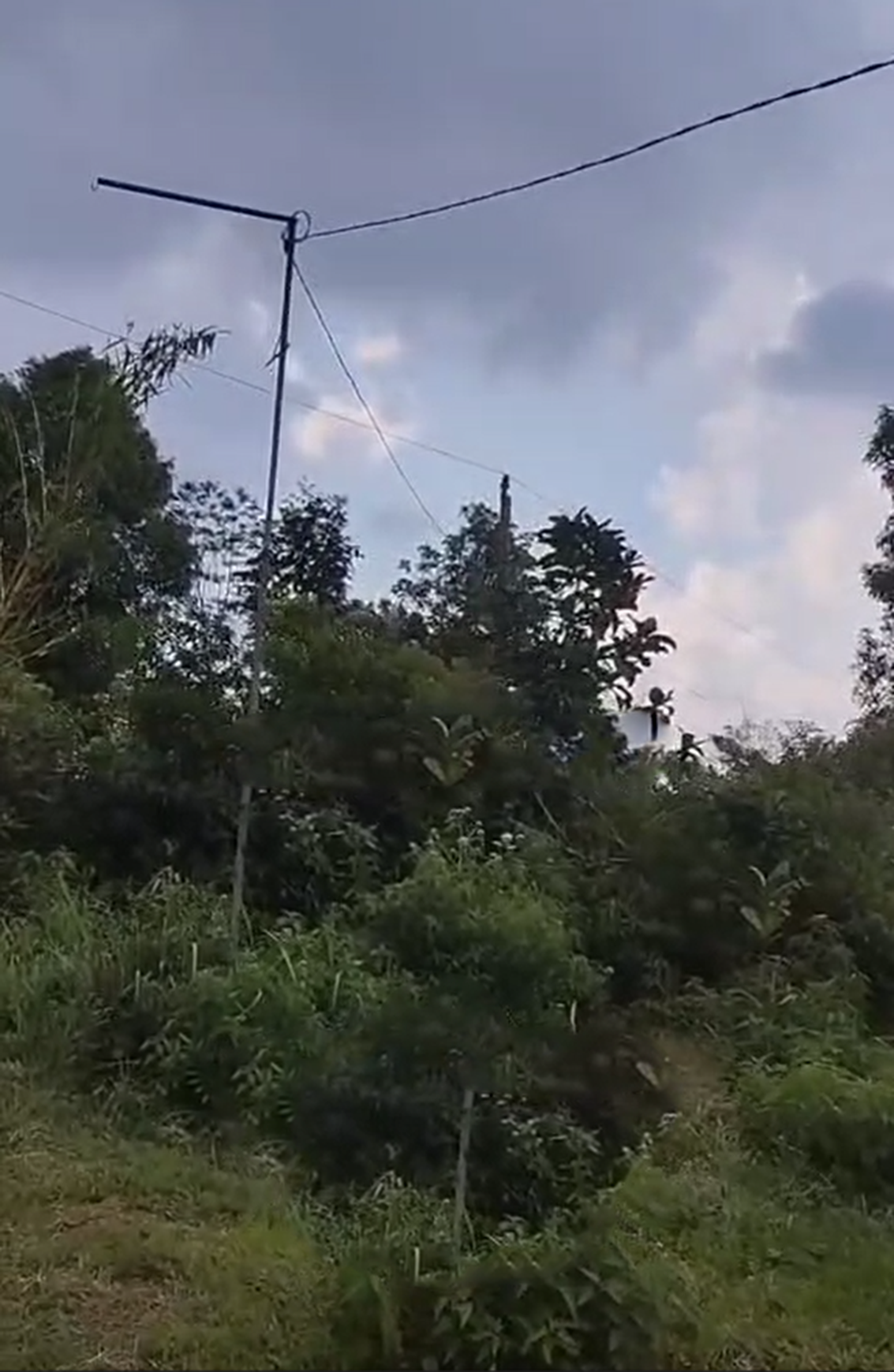 Tanah Luas 6Ha di Kabupaten Kendal Jawa Tengah