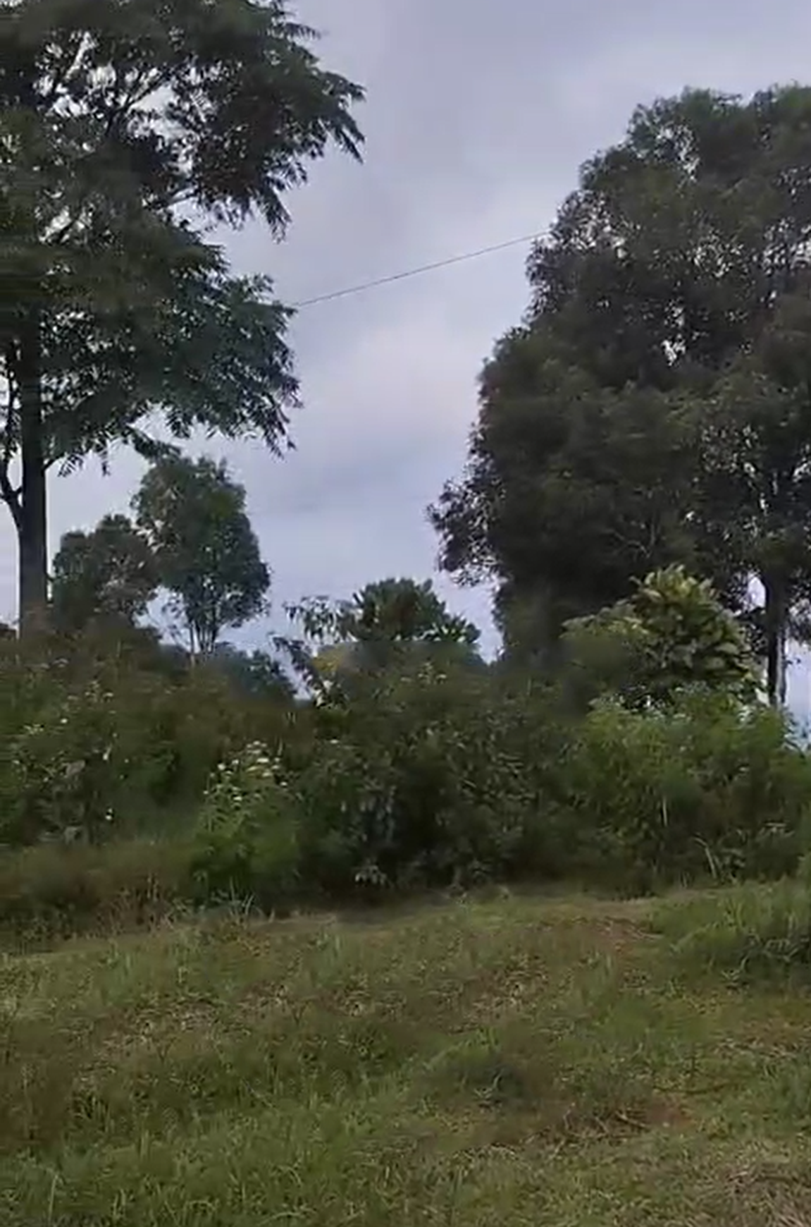Tanah Luas 6Ha di Kabupaten Kendal Jawa Tengah