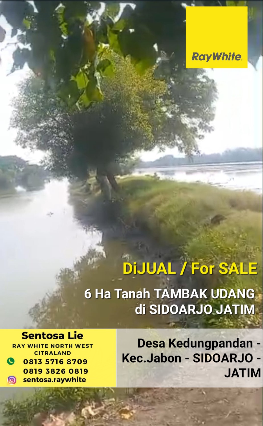 Murah Dijual 6 Ha Tanah Tambak Udang Kec. Jabon Sidoarjo Jawa Timur