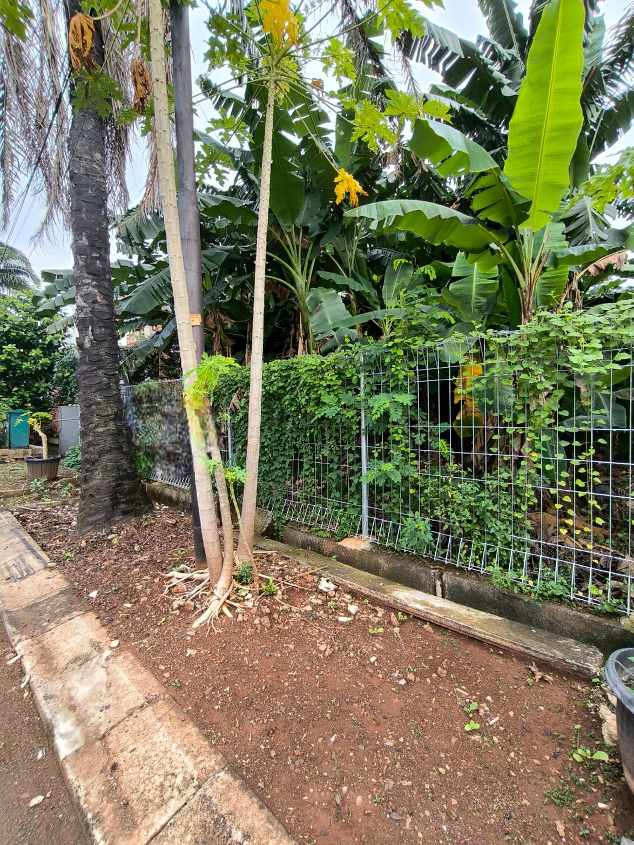 Tanah Kavling Siap Bangun Lokasi Strategis Dalam Perumahan di Cakung Jakarta Timur