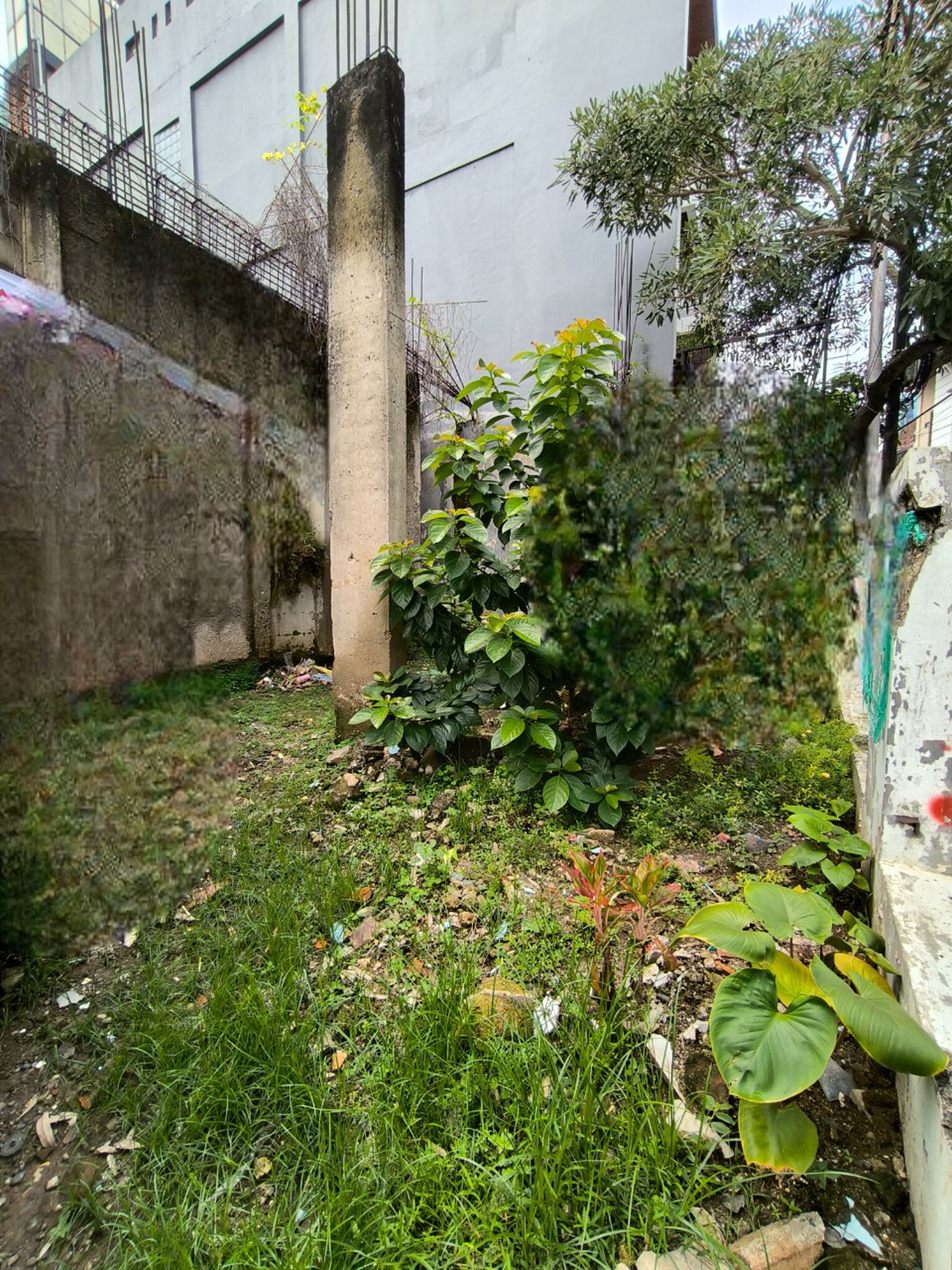 Tanah di Setiabudi Timur - Jakarta Selatan Sangat Cocok untuk Usaha Kost2an dan Hunian